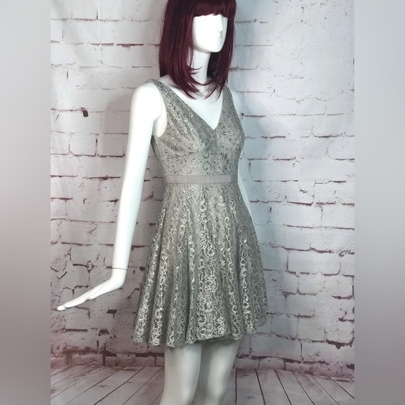 ADRIANNA PAPELL Silver Lace Overlay Fit & Flare Minidress Size 4 PETITE - Picture 3 of 16